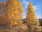 Autumn Glory -  Aspens